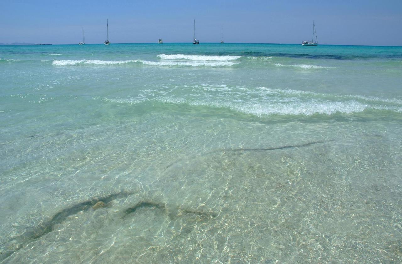 Finca Tiana Ses Salines  Exteriör bild