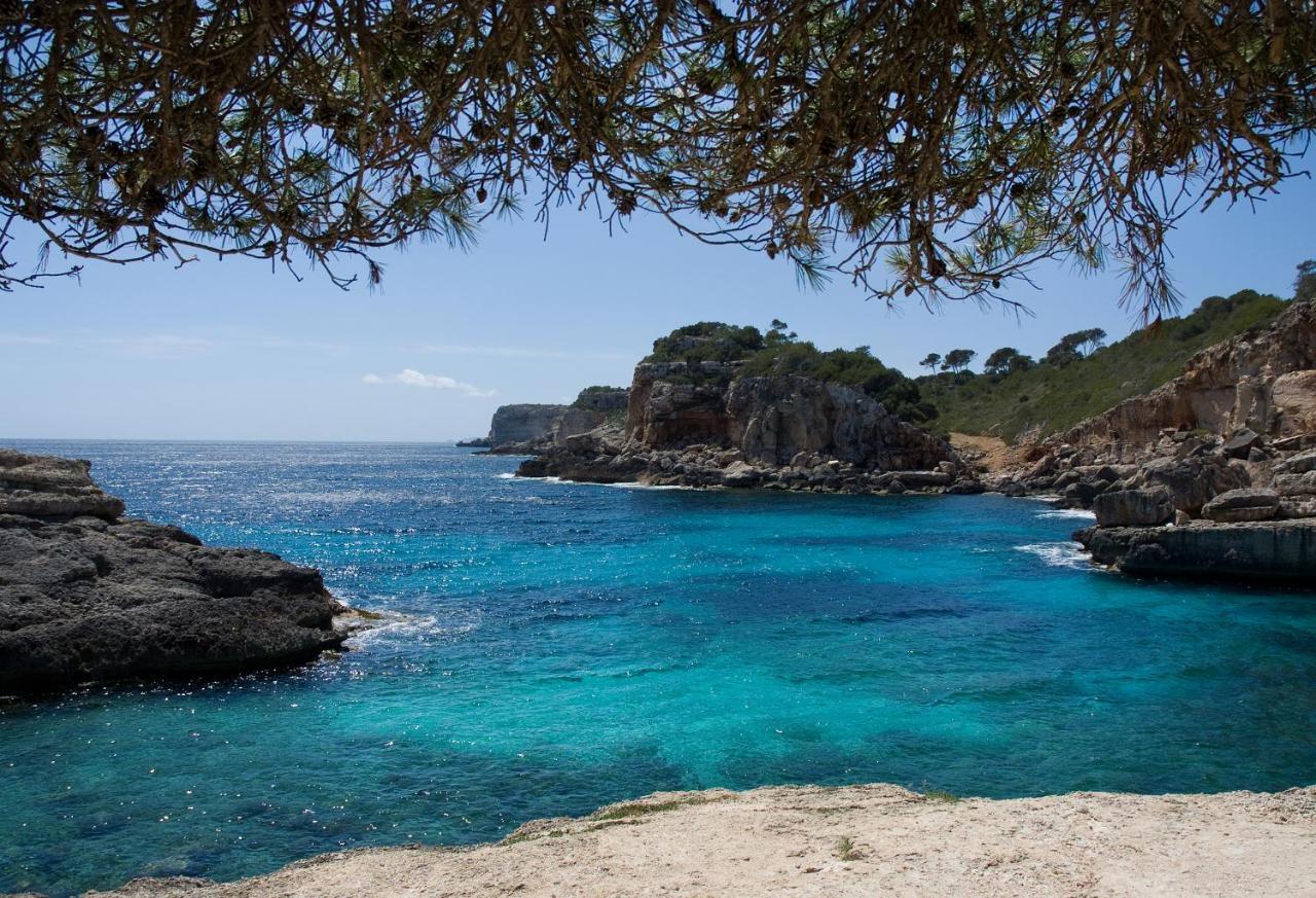 Finca Tiana Ses Salines  Exteriör bild