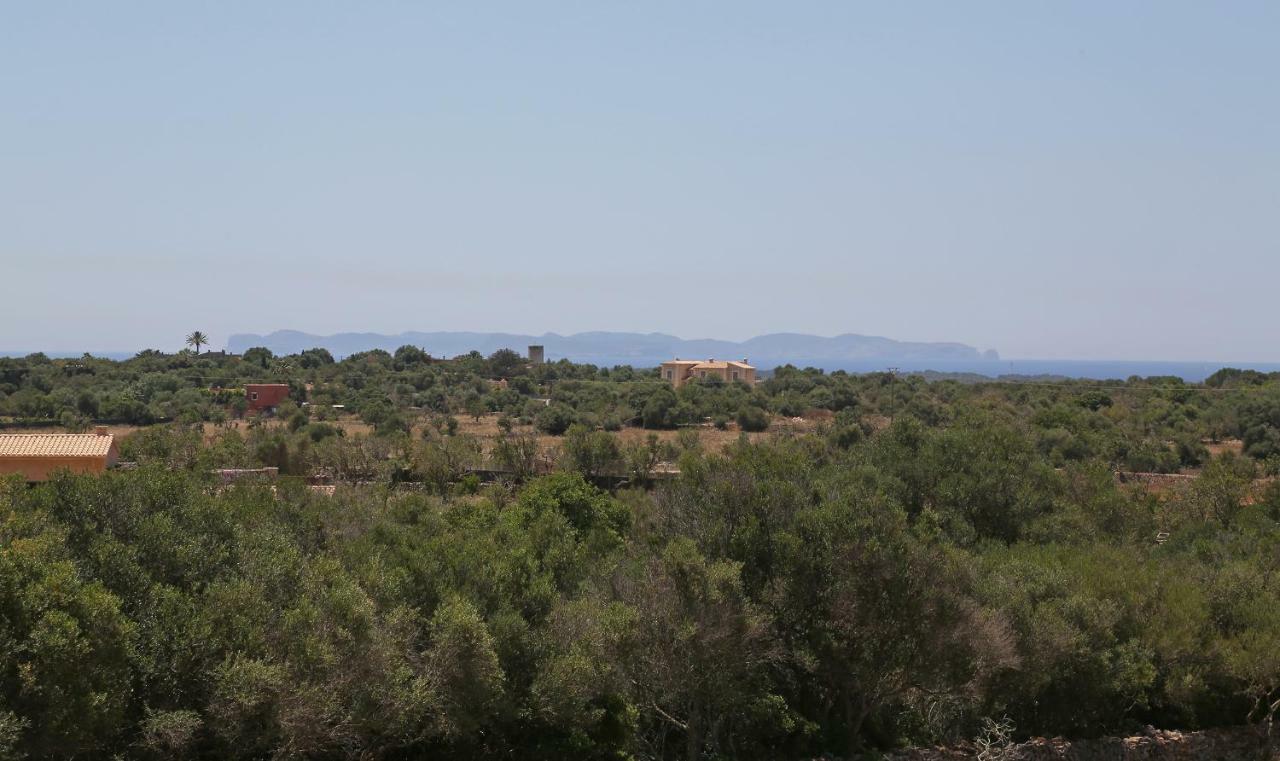 Finca Tiana Ses Salines  Exteriör bild